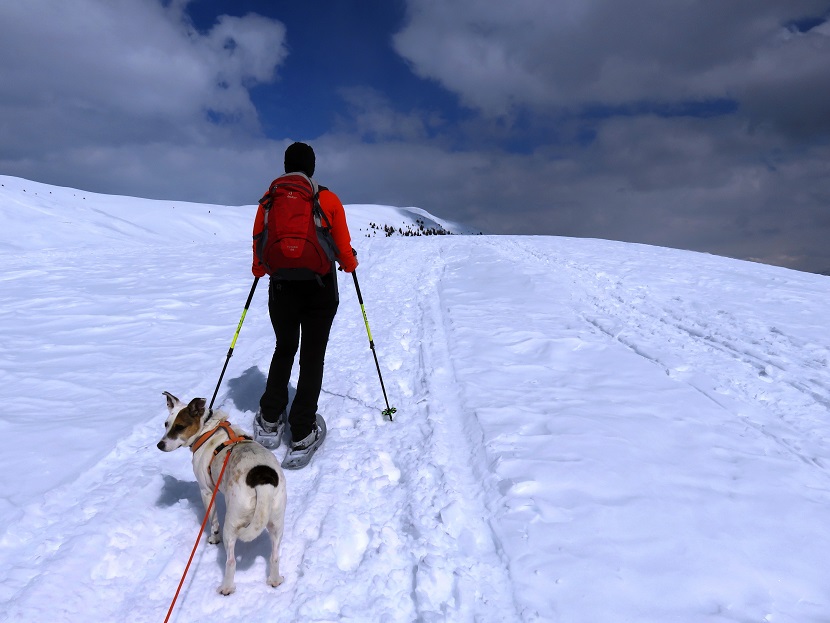 Foto: Andreas Koller / Schneeschuhtour / Panoramaschneeschuhtour Karköfel (2115m) / 06.05.2018 20:52:34