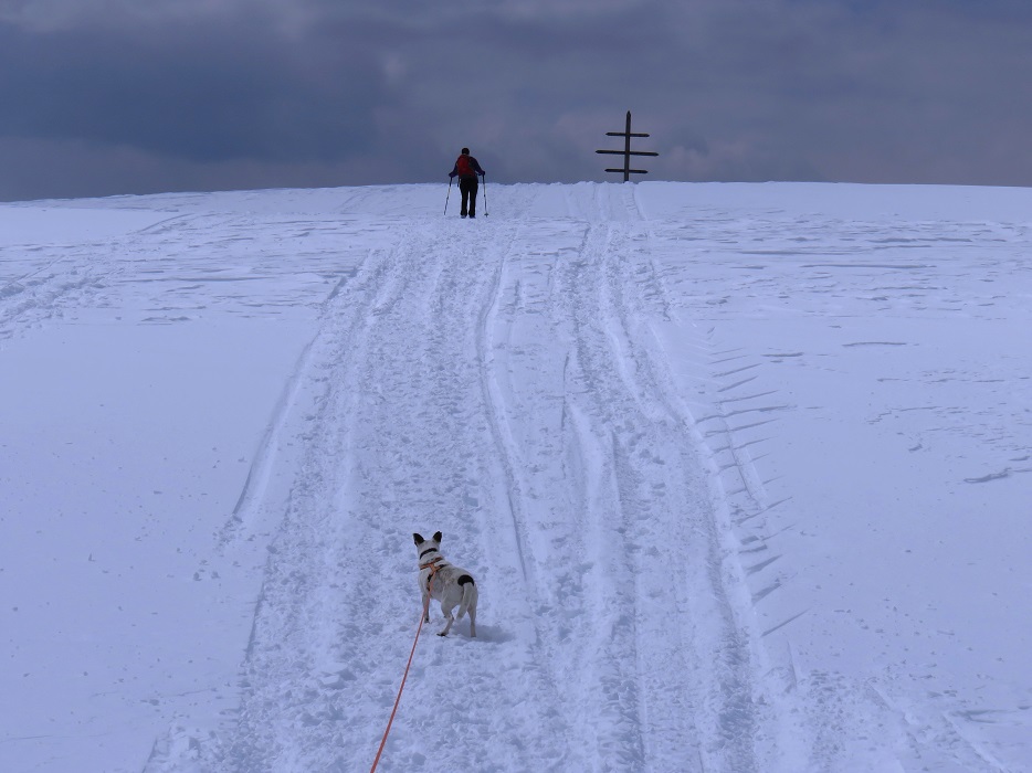 Foto: Andreas Koller / Schneeschuhtour / Panoramaschneeschuhtour Karköfel (2115m) / Übergang Karköfel - Kreuzjoch / 06.05.2018 20:49:58