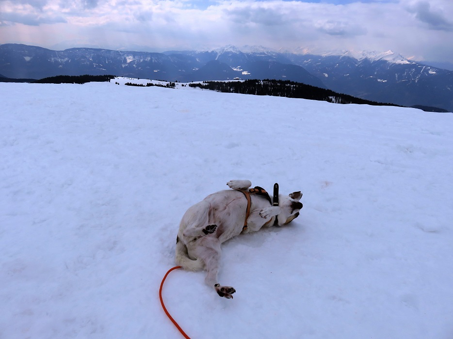 Foto: Andreas Koller / Schneeschuhtour / Panoramaschneeschuhtour Karköfel (2115m) / Übergang Kreuzjoch - Schöneck / 06.05.2018 20:49:14