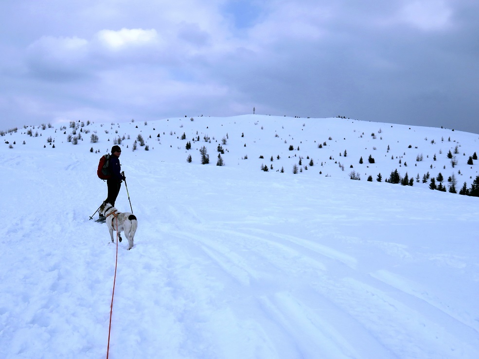 Foto: Andreas Koller / Schneeschuhtour / Panoramaschneeschuhtour Karköfel (2115m) / 06.05.2018 20:48:45