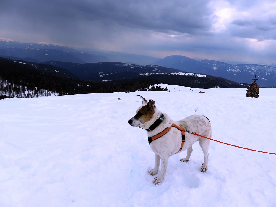 Foto: Andreas Koller / Schneeschuhtour / Panoramaschneeschuhtour Karköfel (2115m) / 06.05.2018 20:47:33