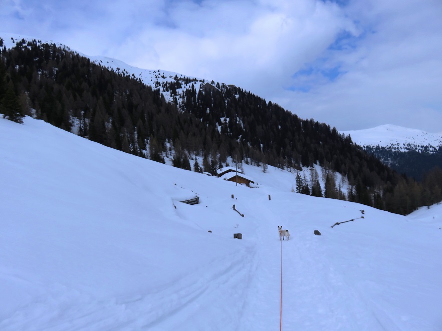 Foto: Andreas Koller / Schneeschuhtour / Panoramaschneeschuhtour Karköfel (2115m) / Zurück bei der Auener Alm / 06.05.2018 20:46:52