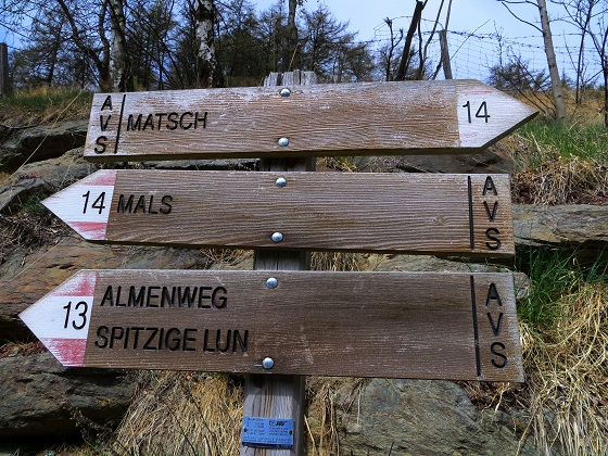 Foto: Andreas Koller / Wandertour / Leichte Wanderung auf die Spitzige Lun (2324m) / 29.05.2018 22:36:03