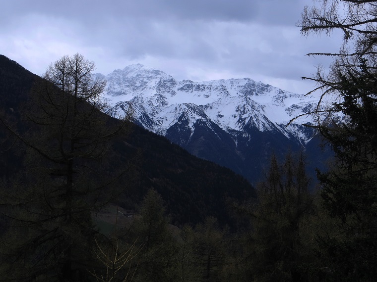 Foto: Andreas Koller / Wandertour / Leichte Wanderung auf die Spitzige Lun (2324m) / 29.05.2018 22:35:25