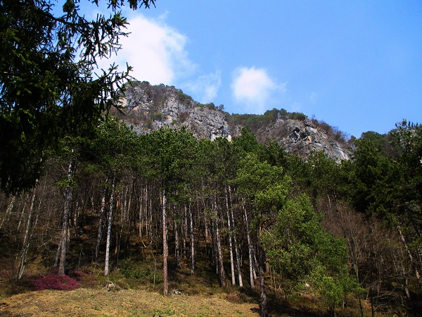 Foto: Andreas Koller / Klettersteigtour / Via ferrata Artpinistico delle Niere (840m) / Klettergebiet bei Preore / 15.06.2018 01:45:21
