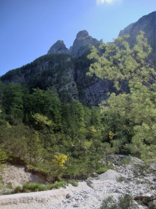 Foto: Wolfgang Dröthandl / Wandertour / Val Romana - Runde / Steile Waldflanken begrenzen das Val Romana / 27.06.2018 14:58:24