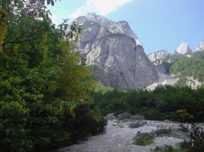 Foto: Wolfgang Dröthandl / Wandertour / Val Romana - Runde / Der Anstieg führt rechts über die Geröllhalde aufwärts / 27.06.2018 14:56:55