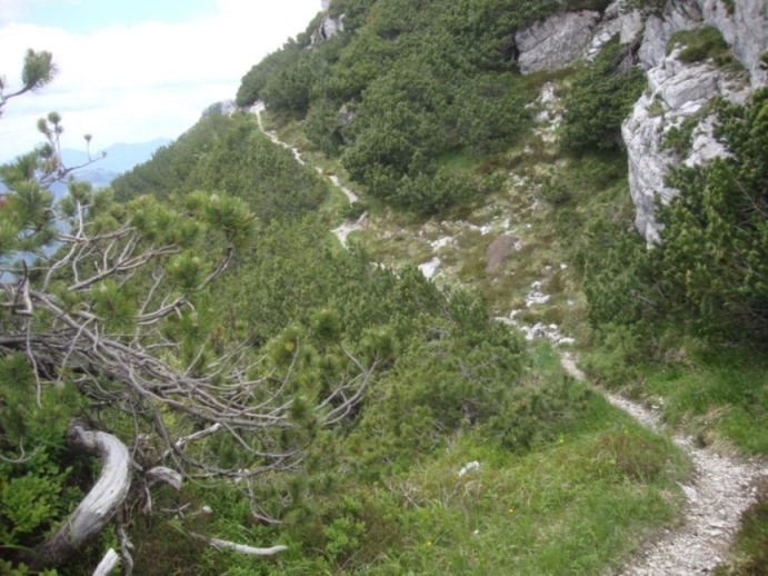 Foto: Wolfgang Dröthandl / Wandertour / Val Romana - Runde / Auf einem latschendurchsetzten Grat nordwärts / 27.06.2018 14:42:10