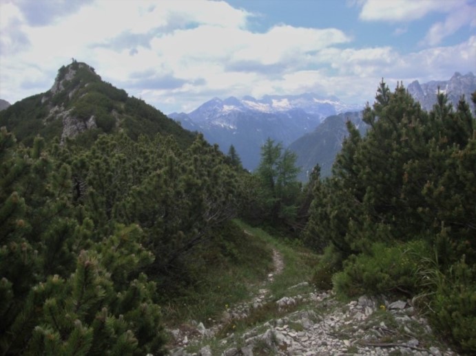 Foto: Wolfgang Dröthandl / Wandertour / Val Romana - Runde / Blick zurück auf den Kamm vor dem Abstieg, am Horizont Kanin. Der Felsgupf selbst wird nicht direkt überschritten. / 27.06.2018 14:41:24