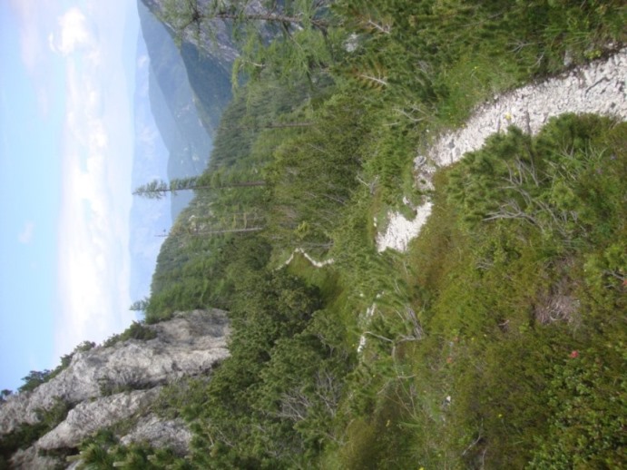 Foto: Wolfgang Dröthandl / Wandertour / Val Romana - Runde / Höhenweg zur Capanna oberhalb steiler Waldhänge / 27.06.2018 14:38:16