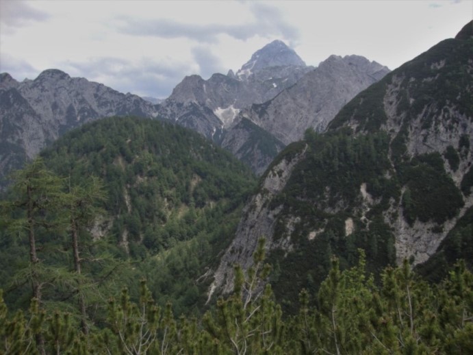 Foto: Wolfgang Dröthandl / Wandertour / Val Romana - Runde / Am Höhenweg östlich der Cinque Punte - Blick zum Mangart / 27.06.2018 14:36:57
