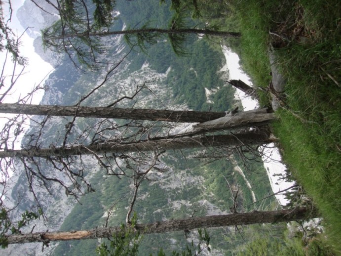 Foto: Wolfgang Dröthandl / Wandertour / Val Romana - Runde / Im Steilabstieg ins Val Romana, Blick in den Talgrund / 27.06.2018 14:32:08