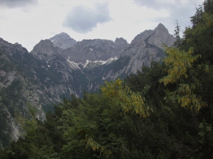 Foto: Wolfgang Dröthandl / Wandertour / Val Romana - Runde / Blick zurück auf den Mangart / 27.06.2018 14:31:20