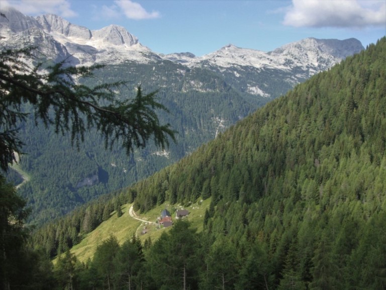 Foto: Wolfgang Dröthandl / Wandertour / Rifugio Corsi von Sella Nevea / Tiefblick auf die Obere Cregnedulalm / Casere Cregnedul di sopra, am Horizont Kaninstock, rechts Picco di Grubia und Monte Sart / 14.07.2018 20:48:04