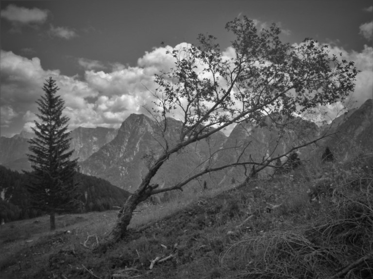 Foto: Wolfgang Dröthandl / Wandertour / Rifugio Corsi von Sella Nevea / 14.07.2018 20:09:02
