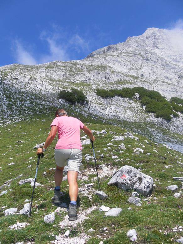 Foto: Wolfgang Lauschensky / Wandertour / Hochwand 2715m / Zustieg zur Südflanke / 17.07.2018 23:22:50