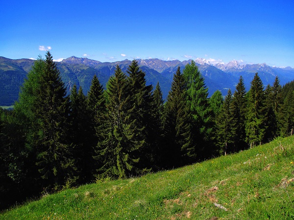 Foto: Andreas Koller / Wandertour / Über das Bergmassiv des Reißkofel (2371m) / 23.08.2018 00:52:08