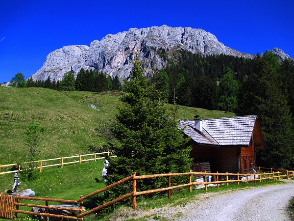 Foto: Andreas Koller / Wandertour / Über das Bergmassiv des Reißkofel (2371m) / 23.08.2018 00:52:02