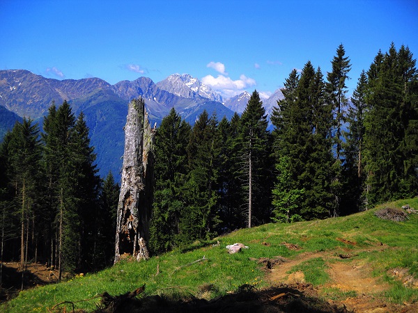 Foto: Andreas Koller / Wandertour / Über das Bergmassiv des Reißkofel (2371m) / 23.08.2018 00:51:54