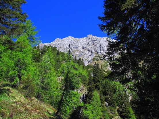 Foto: Andreas Koller / Wandertour / Über das Bergmassiv des Reißkofel (2371m) / 23.08.2018 00:51:17