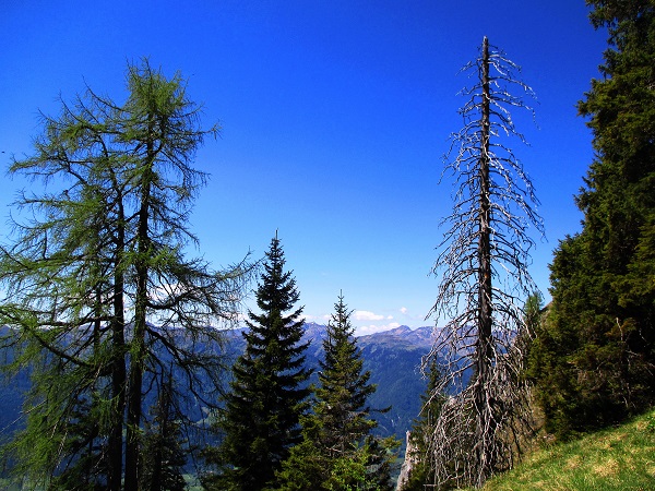 Foto: Andreas Koller / Wandertour / Über das Bergmassiv des Reißkofel (2371m) / 23.08.2018 00:51:10