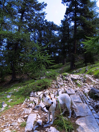 Foto: Andreas Koller / Wandertour / Rocce della Sueur zum Aufwärmen (2271m) / 14.09.2018 00:56:38