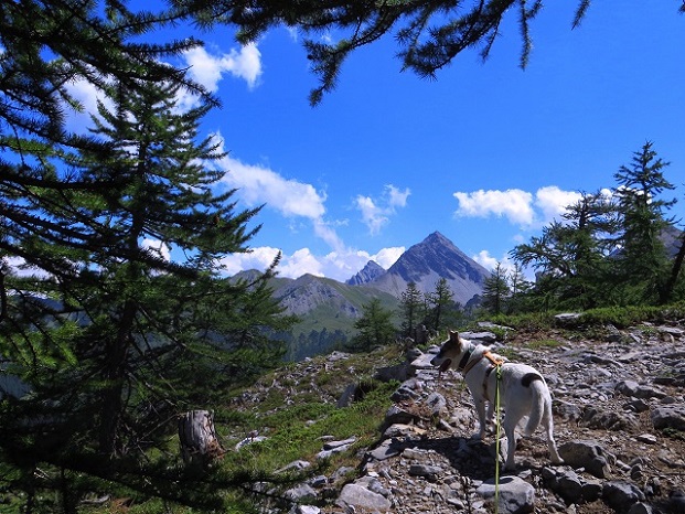 Foto: Andreas Koller / Wandertour / Rocce della Sueur zum Aufwärmen (2271m) / 14.09.2018 00:54:07