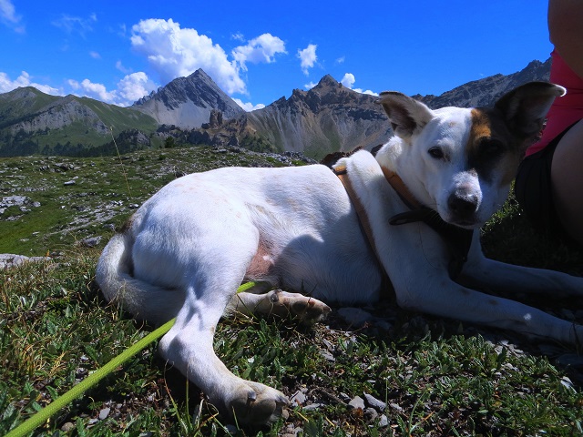Foto: Andreas Koller / Wandertour / Rocce della Sueur zum Aufwärmen (2271m) / 14.09.2018 00:51:45