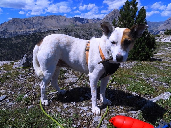 Foto: Andreas Koller / Wandertour / Rocce della Sueur zum Aufwärmen (2271m) / 14.09.2018 00:51:02