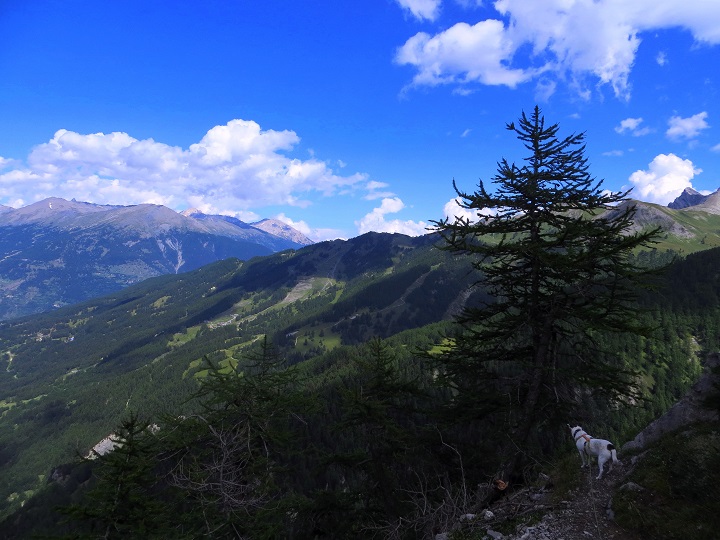 Foto: Andreas Koller / Wandertour / Rocce della Sueur zum Aufwärmen (2271m) / 14.09.2018 00:49:28
