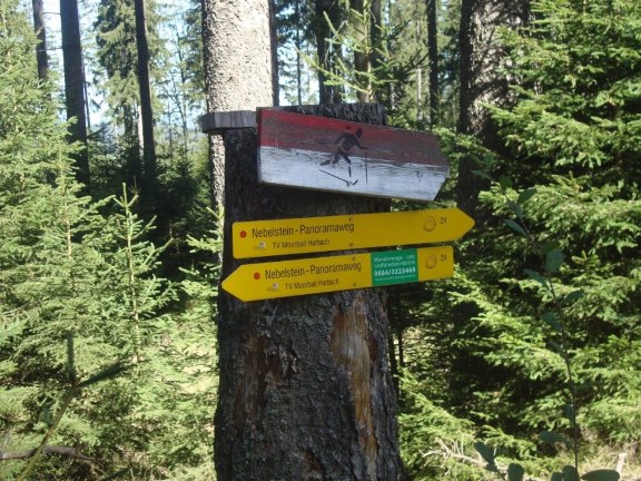Foto: Wolfgang Dröthandl / Wandertour / Nebelstein - Panoramaweg / Dank zahlreicher Wegweiser ist der Weg nicht zu verfehlen / 02.10.2018 10:20:23