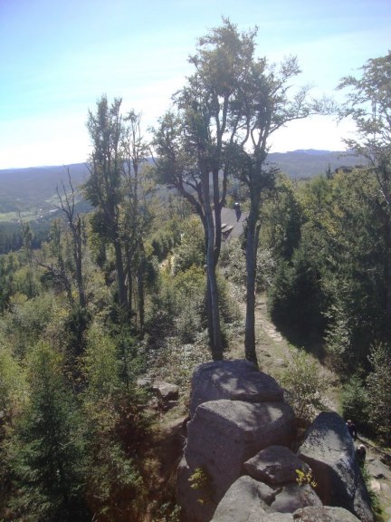 Foto: Wolfgang Dröthandl / Wandertour / Nebelstein - Panoramaweg / Blick hinunter zur Hütte / 02.10.2018 10:15:31