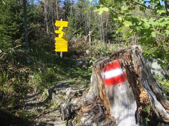 Foto: Wolfgang Dröthandl / Wandertour / Nebelstein - Panoramaweg / Hier beginnt der kurze, ruppige, steilere Abstieg / 02.10.2018 10:13:38