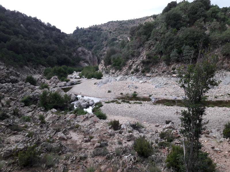 Foto: Rupert Gredler / Wandertour / Gola di Pirincanes / Nun sind wir im Tal / 21.07.2019 16:53:24