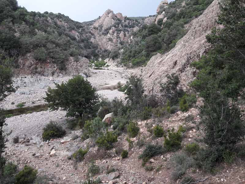 Foto: Rupert Gredler / Wandertour / Gola di Pirincanes / Nun der Abstieg ins eigentliche Flusstal / 21.07.2019 16:52:45