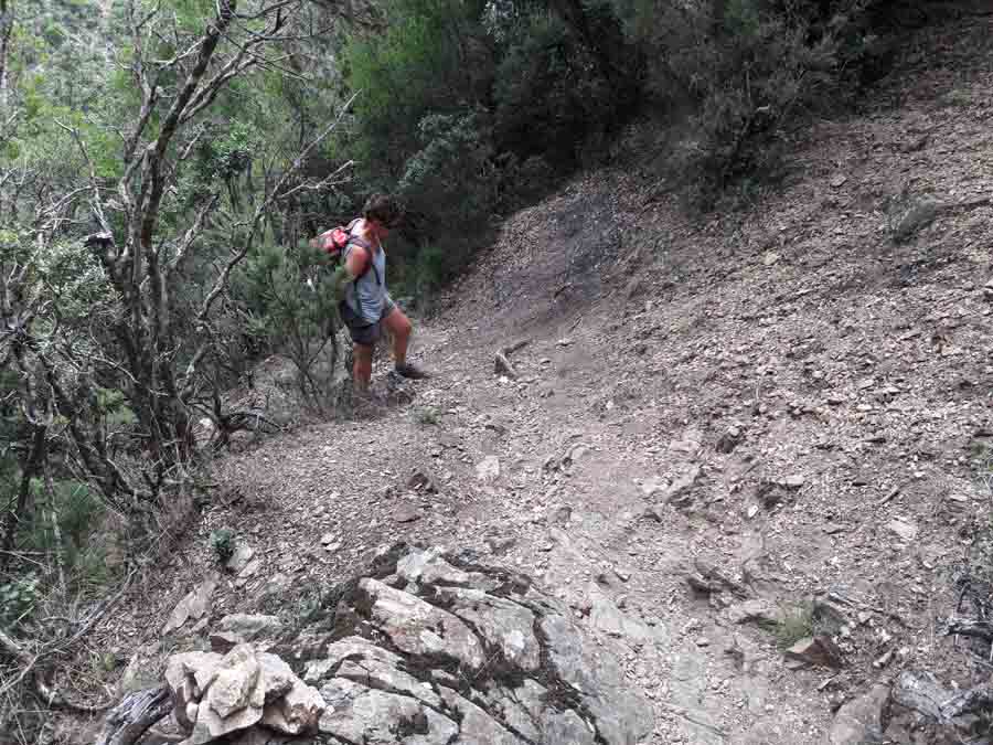 Foto: Rupert Gredler / Wandertour / Gola di Pirincanes / Aufstieg zum Sattel mit dem Strommast / 21.07.2019 16:52:04
