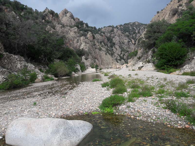 Foto: Rupert Gredler / Wandertour / Gola di Pirincanes / Es geht flussaufwärts / 21.07.2019 16:53:56