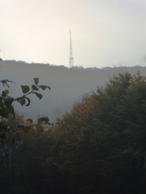 Foto: Wolfgang Dröthandl / Wandertour / Jochgrabenberg und Kaiserbrunnberg / Erster Blick auf den Sender am Jochgrabenberg / 22.10.2018 15:13:38