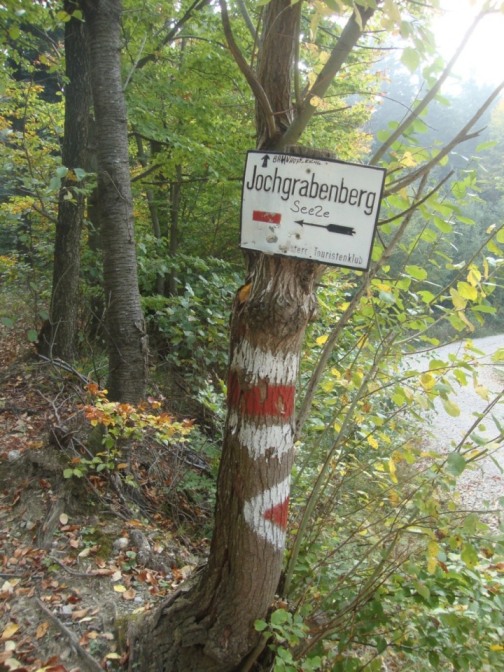 Foto: Wolfgang Dröthandl / Wandertour / Jochgrabenberg und Kaiserbrunnberg / Abzweigung von der (unmarkierten) Forststraße / 22.10.2018 15:13:06