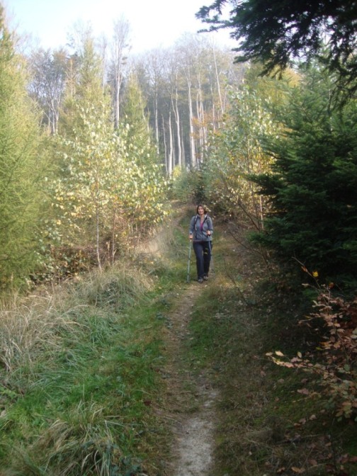 Foto: Wolfgang Dröthandl / Wandertour / Jochgrabenberg und Kaiserbrunnberg / Gipfelweg auf den Jochgrabenberg / 22.10.2018 15:12:33