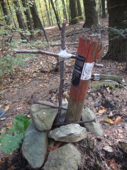 Foto: Wolfgang Dröthandl / Wandertour / Jochgrabenberg und Kaiserbrunnberg / Klein, aber fein: Gipfelkreuz ohne Aussicht am bewaldeten Kaiserbrunnberg / 22.10.2018 15:06:45