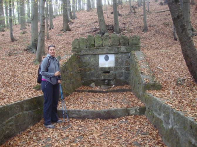 Foto: Wolfgang Dröthandl / Wandertour / Jochgrabenberg und Kaiserbrunnberg / Ursprung der Dürren Wien (Nomen est omen...) - Kaiserbründl / 22.10.2018 15:03:37