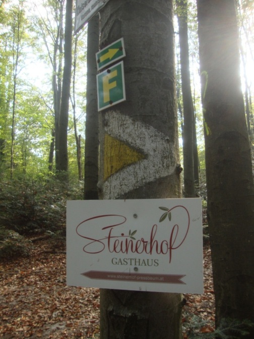 Foto: Wolfgang Dröthandl / Wandertour / Jochgrabenberg und Kaiserbrunnberg / Abzweigung zum Kaiserbründl / 22.10.2018 15:02:59