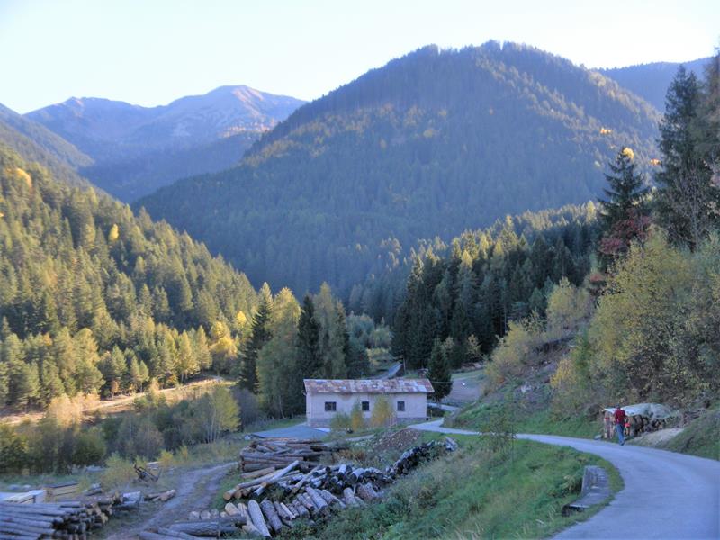 Foto: Wolfgang Lauschensky / Wandertour / Monte Croce und Monte Rujoch / Start von Brusago ins Val Fregasoga / 29.10.2018 00:15:02