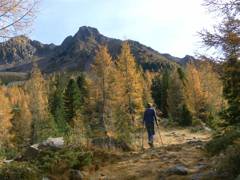 Foto: Wolfgang Lauschensky / Wandertour / Monte Croce und Monte Rujoch / Herbst unter dem Monte Croce / 29.10.2018 00:14:42