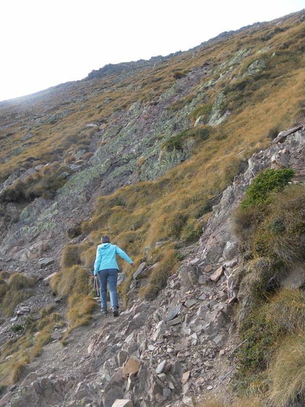 Foto: Wolfgang Lauschensky / Wandertour / Monte Croce und Monte Rujoch / wegfrei zum Schliverai Spitz / 29.10.2018 00:13:27