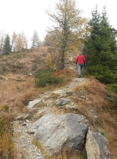 Foto: Wolfgang Lauschensky / Wandertour / Fravort über Monte Panarotta / flacher Gipfelkamm / 29.10.2018 22:47:57