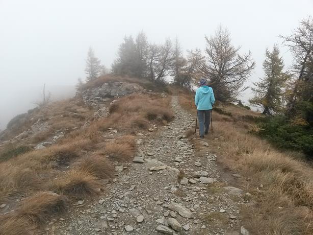Foto: Wolfgang Lauschensky / Wandertour / Fravort über Monte Panarotta / Nordrückenabstieg / 29.10.2018 22:47:22