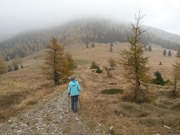 Foto: Wolfgang Lauschensky / Wandertour / Fravort über Monte Panarotta / Der Sattel La Bassa / 29.10.2018 22:47:18