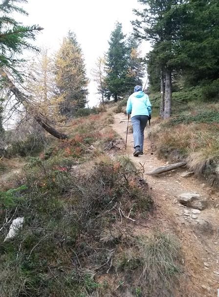 Foto: Wolfgang Lauschensky / Wandertour / Fravort über Monte Panarotta / schöner Wanderweg / 29.10.2018 22:47:11